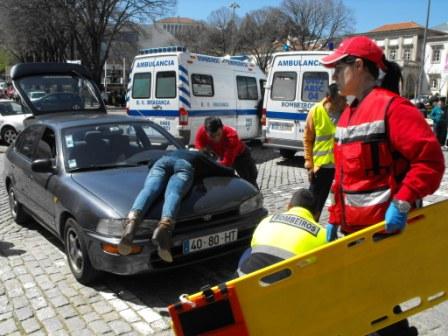 Atropelamentos preocupam autoridades