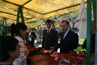 Vinho e morangos são reis