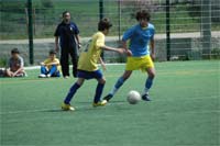 Pedro Gouveia em alta