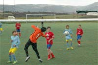 Mirandês sob pressão