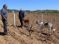 Agricultores mais pobres