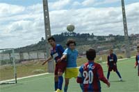 Vinhas com muito qualidade