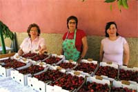 Mascarenhas estreia-se na venda de cereja