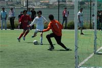 Mirandês sob pressão