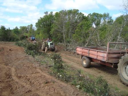 Palaçoulo recuperou tradição de “ir a caminhos”