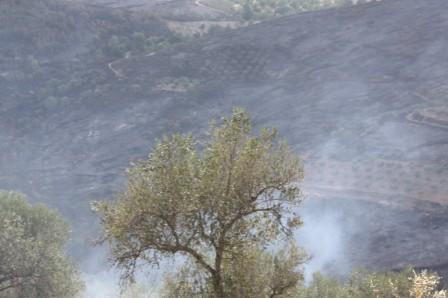 Terminam hoje as queimadas controladas em Bragança