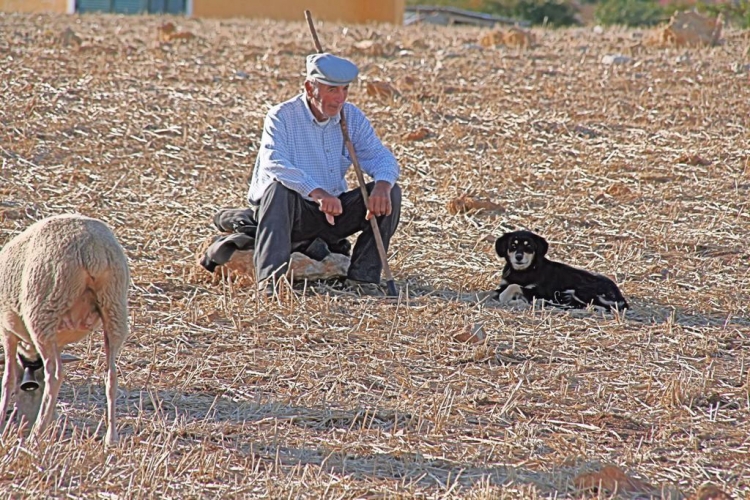 Pastores temem novas regras informáticas para pedir subsídios