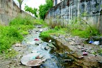 S. Martinho embeleza ribeira