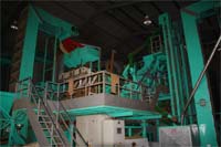 «Amendouro» em crescimento