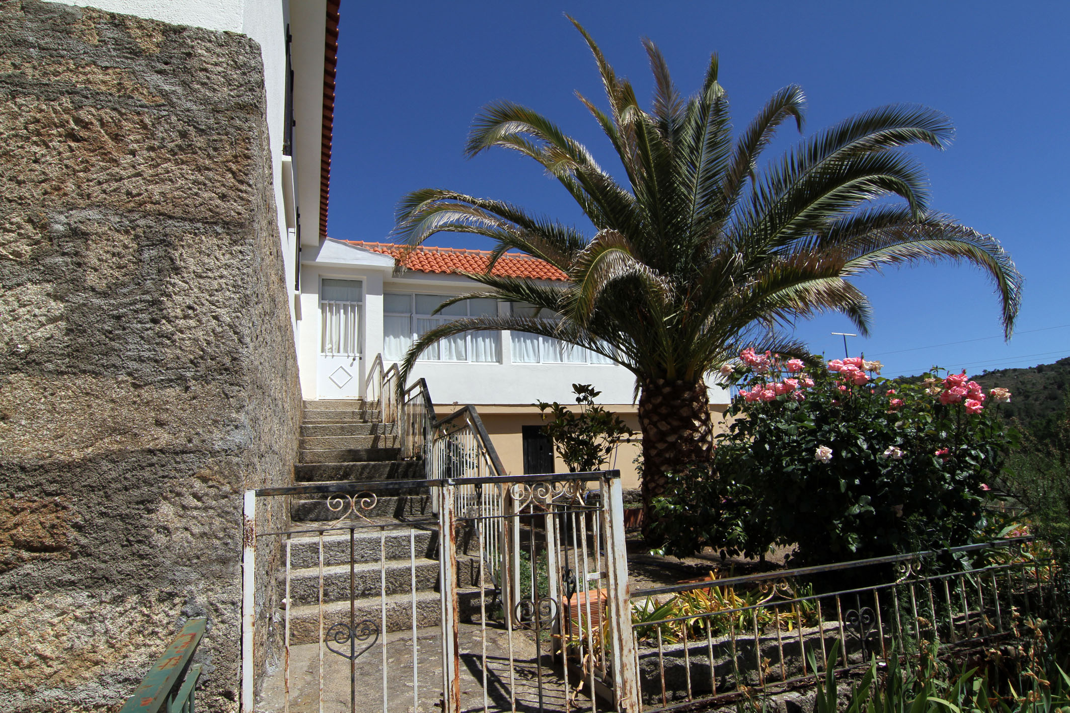 Professora reformada encontrada morta em circunstâncias suspeitas