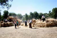 Tradições recriadas