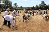 A música como pão para a boca na Lombada