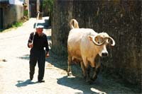 Esquecida, mas não perdida…