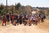 Um burro pelo Natal?