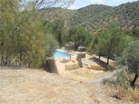 «Oleoturismo» para desenvolver região