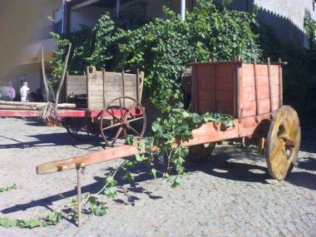 Aldeia quer preservar carros de bois