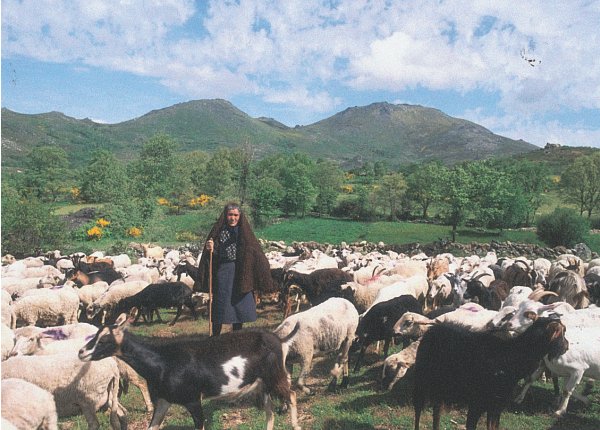 Agricultores esperam subsídios há três anos