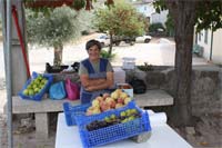 Aldeias aproveitam obras para fazer negócio