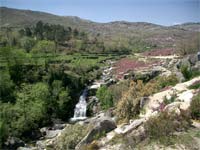 Investigadores de 46 países debatem a paisagem