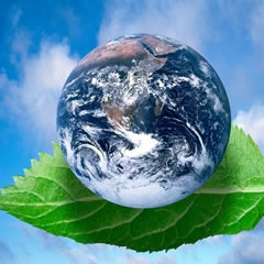 Escolas do distrito premiadas pelos cuidados com o ambiente