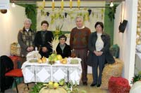 Castanhas grátis em Vinhais