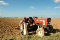 Apaziguada com o tempo