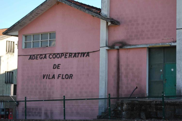 Adega Cooperativa de Vila Flor declara falência