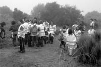 Reflorestação nas barragens