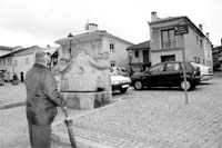 Grijó vai homenagear Adriano Moreira