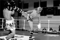 Mirandela quer recuperar estatuto de capital