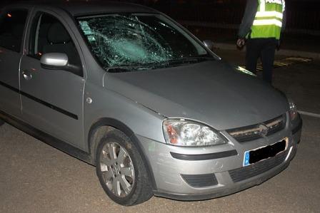 Atropelamentos aumentaram no último ano em Bragança