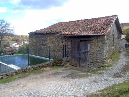 GNR prendeu três adolescentes suspeitos de terem roubado duas toneladas de castanhas em Rossas