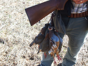 Caçadores feridos com “gravidade” após rebentamento de engenhos explosivos e arma de caça.