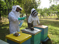 PRODER com boa resposta no distrito