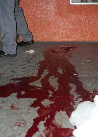 Sangue na Av. Sá Carneiro