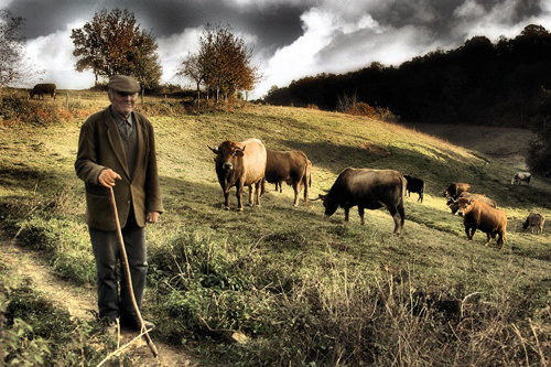 Turistas que visitam Trás-os-Montes são os mais satisfeitos do Norte
