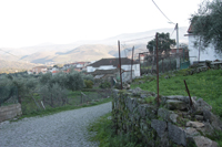 Peixes do rio dão fama a Cabanas de Baixo