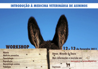 “Sou Transmontana, Sou Mulher”