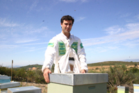 Empresário investe 300 mil euros no mel