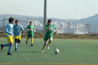 Macedo aquém das expectativas