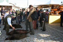 Feira de Produtos da Terra dinamiza Arcas