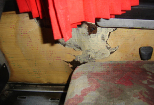 Autocarros sem condições para transportar alunos