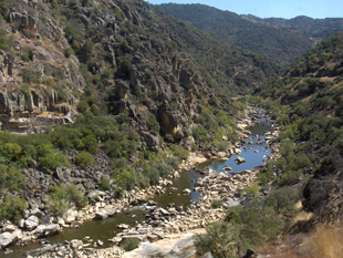 Mirandela acolhe Agência de Desenvolvimento