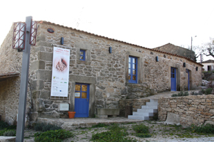 Um ano de Terra Mater