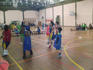 Mini-Basket concentrado
