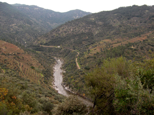 Mirandela acolhe Agência do Tua