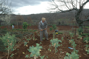 “Todos os caminhos vão dar a Prada”