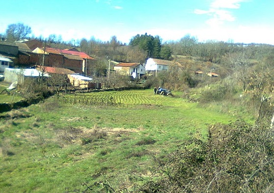 Agricultor ferido com gravidade em acidente de tractor