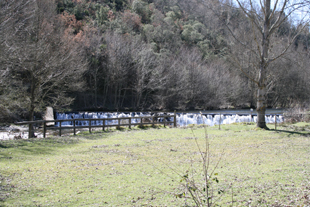 Intercâmbio de técnicos entre Parques