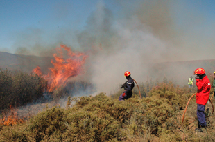 Queimada única em 2011